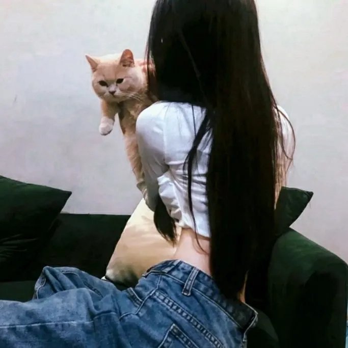 战地女护士